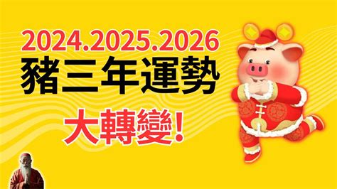 豬年運程2024|2024 肖豬流年運程 